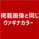【夏祭りキャンペーン 6月30日まで】フルシリコン製ラブドール Irontech Doll 追加ヘッド一つ無料 等身大ドール ヘッドとボディご自由に選択可