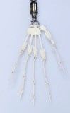フルシリコン製ラブドール Irontech Doll 148cm Dカップ G1夏莹 (Xiaying)ヘッド