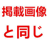 リアルガール True Idols 女優 楓カレン＆ Sino Doll コラボ製品 フルシリコン製ラブドール 楓カレンヘッド ボディ選択可能 組み合わせ自由