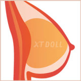 フルシリコン製 XTDOLL 150cm Dカップ Linヘッド ラブドール 等身大ドール