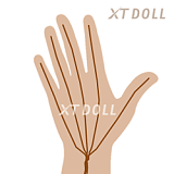 XTDOLL 165cm Eカップ Natalieヘッド (#XT-31) ラブドール 等身大ドール フルシリコン製