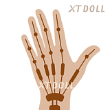 フルシリコン製 XTDOLL 150cm Dカップ Cocoa ヘッド（#XT-byx4-B) ラブドール 等身大ドール 軽量化仕様