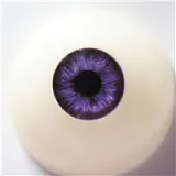 #6パープル