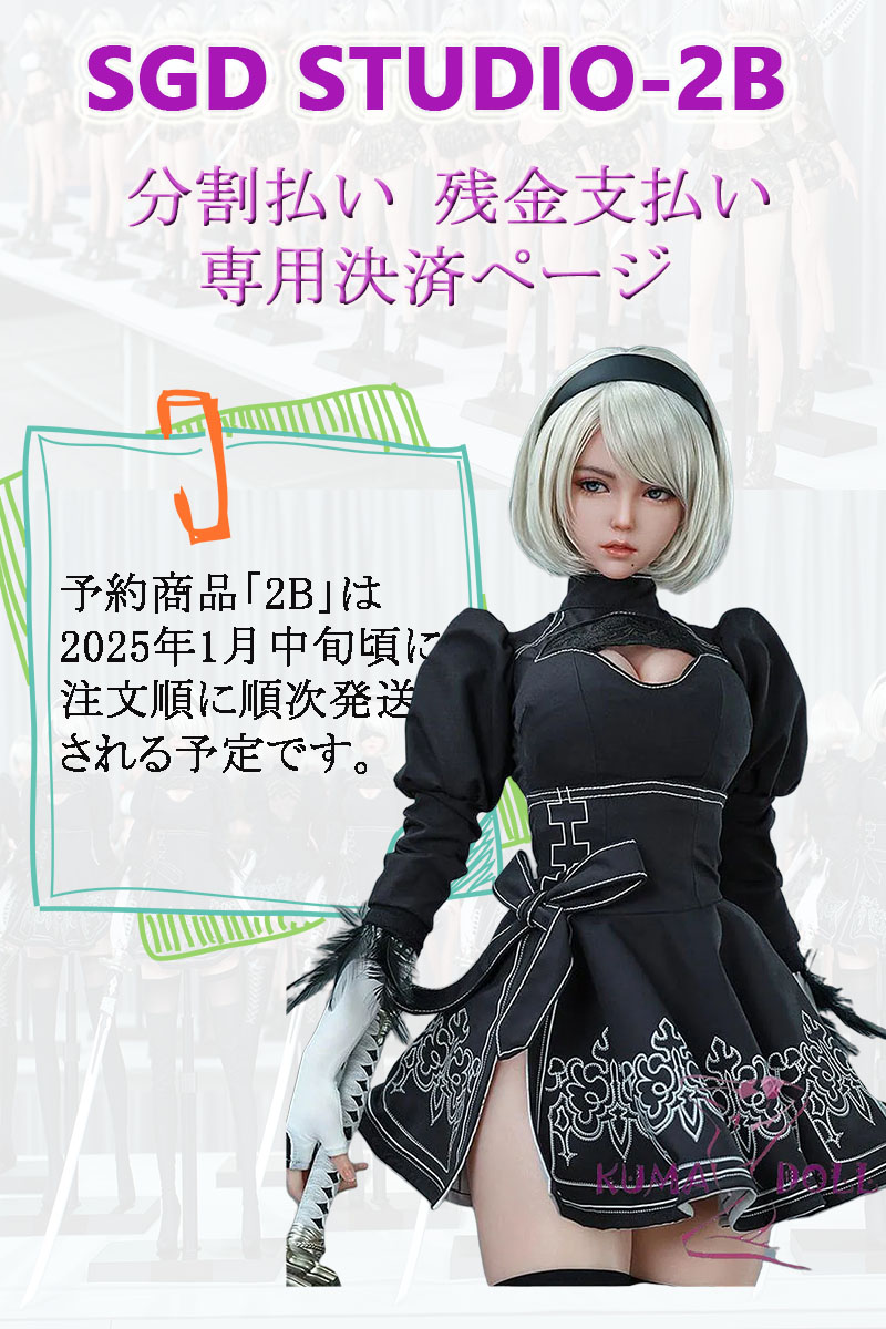 2B SGD-002 分割払い 残金支払い 専用決済ページ