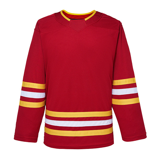 EALER H900 Series Ice Hockey League Team Color Blank Practice Jersey & Thick, Breathable and Quick-Dry High Strength Fabric&Unisex Junior to Senior…