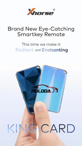 Brand New Eye-Catching Smartkey remote 