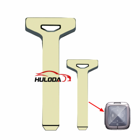 For ZEEKR 001 Car Smart Emergency Insert Key Blank Blade