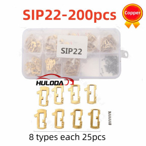 200Pcs/lot brass SIP22 Car Lock Repair Accessories Car Lock Reed Lock Plate for Fiat 8 types each 25pcs