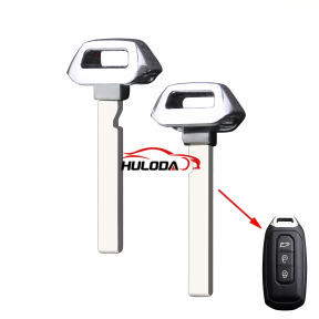 For Ford Edge Emergency Key