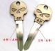 Electric bike and motorcycle spare key