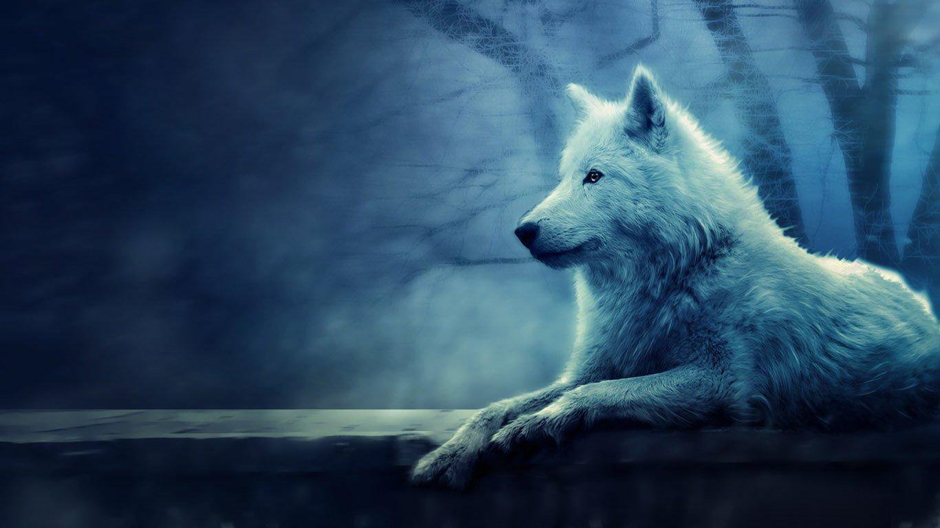 white wolf spirit