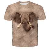 Elephant T shirts