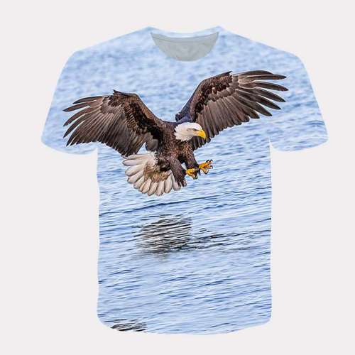 American Eagle Shirt