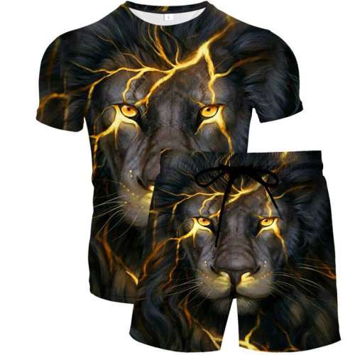Unisex Lion Print T-shirt Shorts Sets