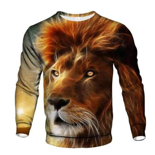 Lions Sweatshirt