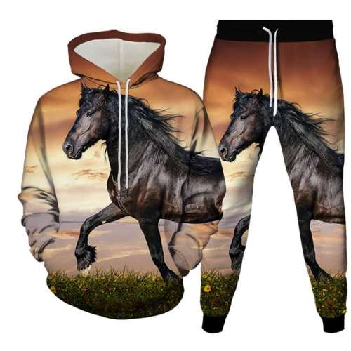 Unisex Horse Print Hoodies Pants Sets