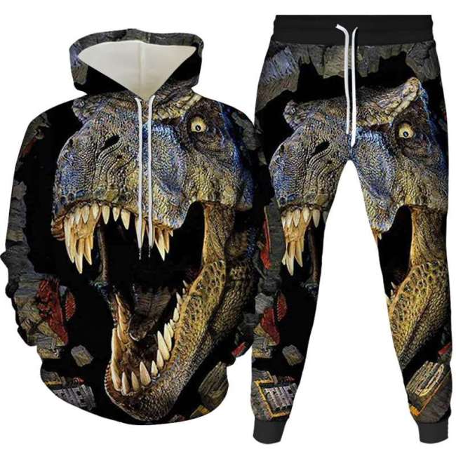Unisex Dinosaur Print Hoodies Pants Sets