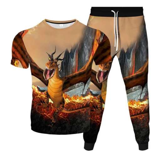 Unisex Dinosaur Print T-shirt Pants Sets