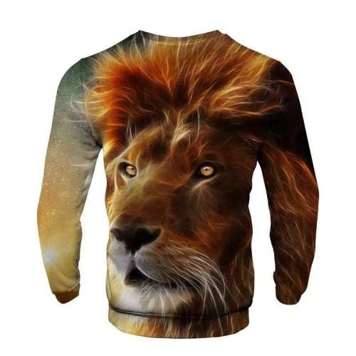 Lions Sweatshirt