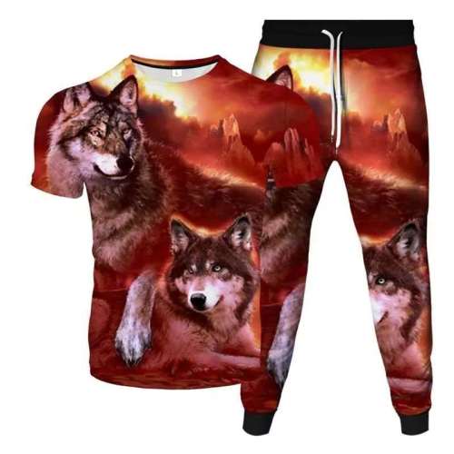 Unisex Wolf Print T-shirt Pants Sets