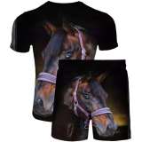 Unisex Horse Print T-shirt Shorts Sets