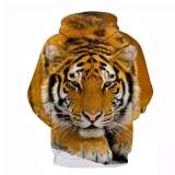 Cute Tiger Hoodie