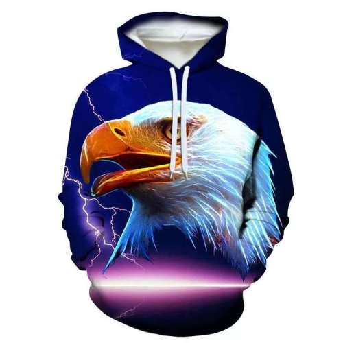 American Eagle Blue Hoodie