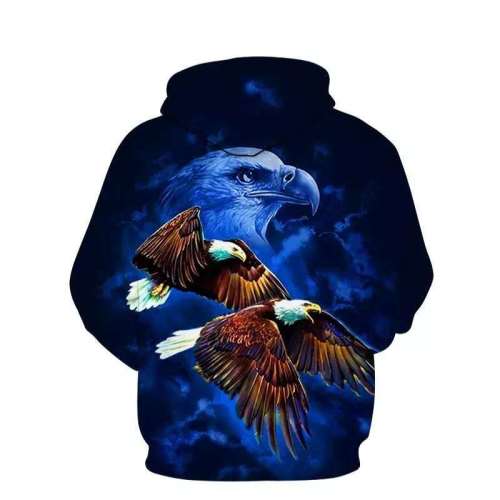 Mens American Eagle Hoodie