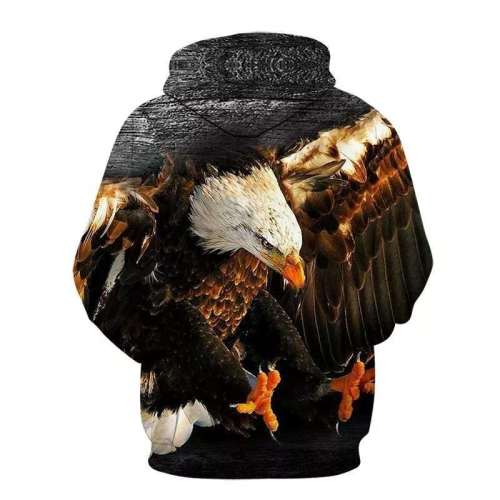 American Eagle Hoodies Womens