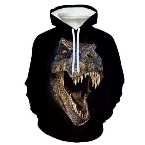 Family Matching Hoodies Unisex Dinosaur Print Pullover Sweatshirt