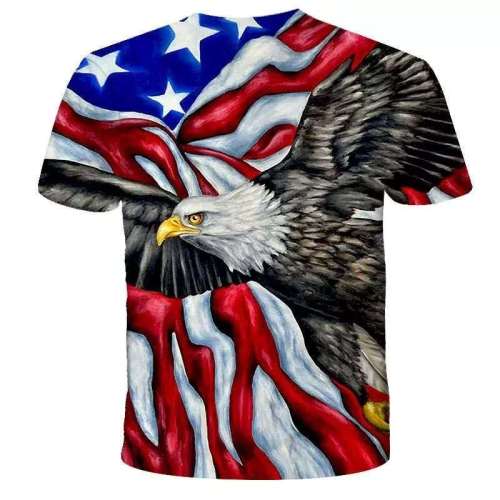 American Eagle Oversized Shirt