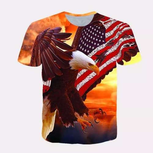 American Eagle T shirts Men