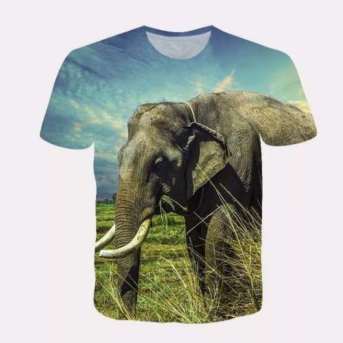 Elephant Graphic T shirt