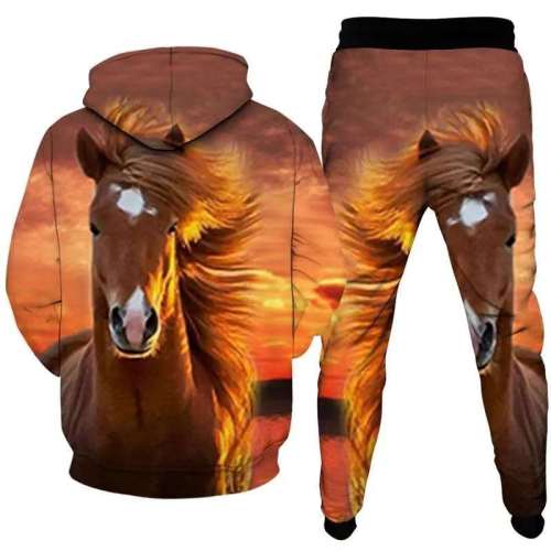 Unisex Horse Print Hoodies Pants Sets