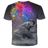 Elephant Grey Colour Shirt