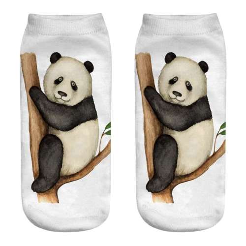 Panda Socks Womens