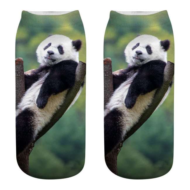 Unisex 3D Panda Print Cotton Ankle Socks