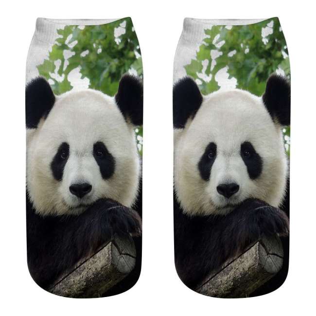 Panda Socks For Men