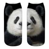 Panda Bear Socks