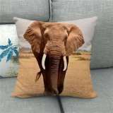 Elephant Print Throw Pillows