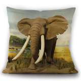 The Elephant Pillow