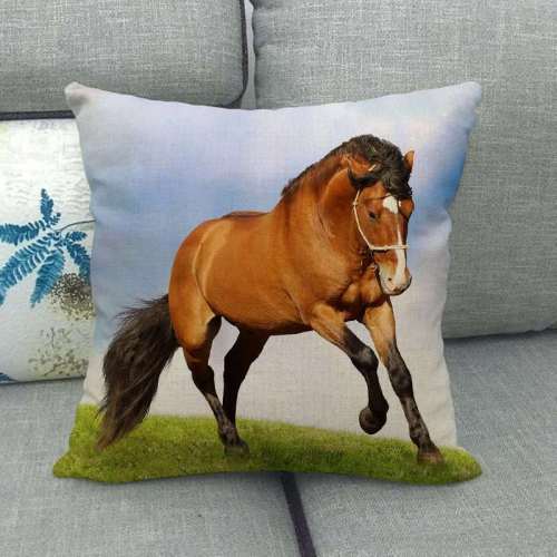 Horse Pillow Wraps