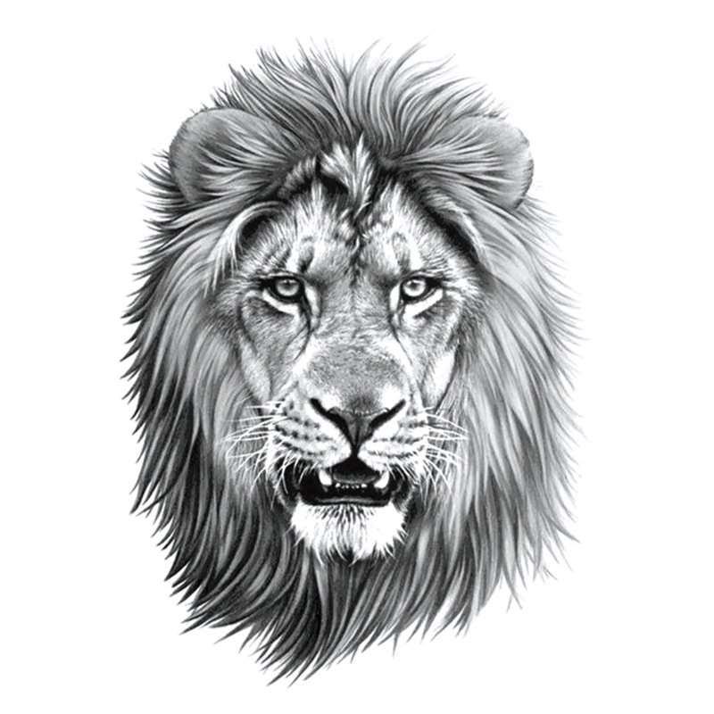 charcoal line sketch of beautiful lion