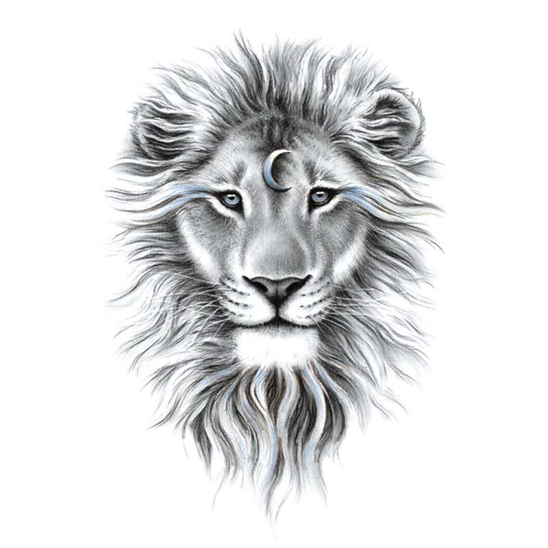 black and white lion logo lion sticker lion tattoo 21188166 Vector Art at  Vecteezy