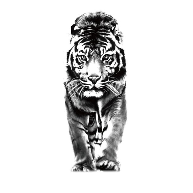 Tiger Tattoos For Women