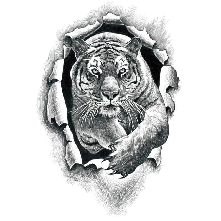 Tiger Eyes Forearm Tattoo | TikTok