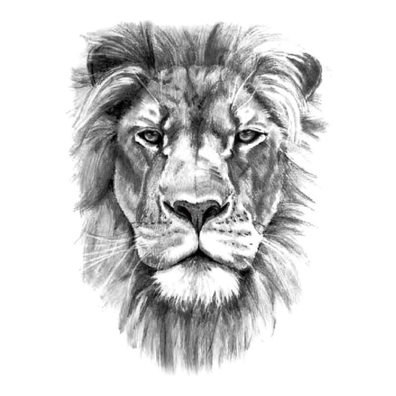 🦁 70+ Lion Tattoos Meanings Designs and Ideas: Powerful Lion Tattoos H –  neartattoos