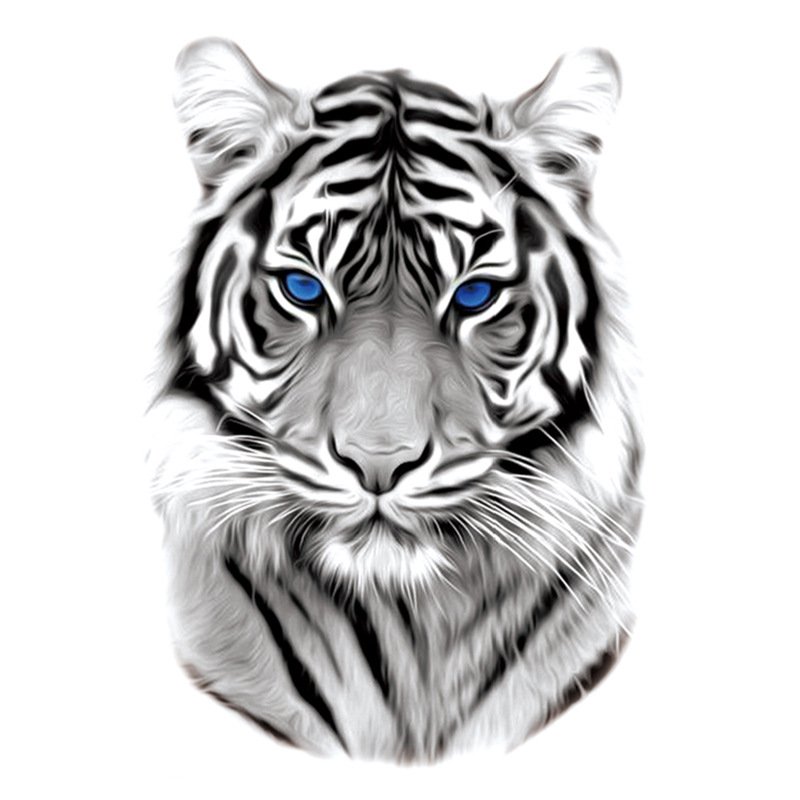 Tiger Tattoo PNG, Vector, PSD, and Clipart With Transparent Background for  Free Download | Pngtree