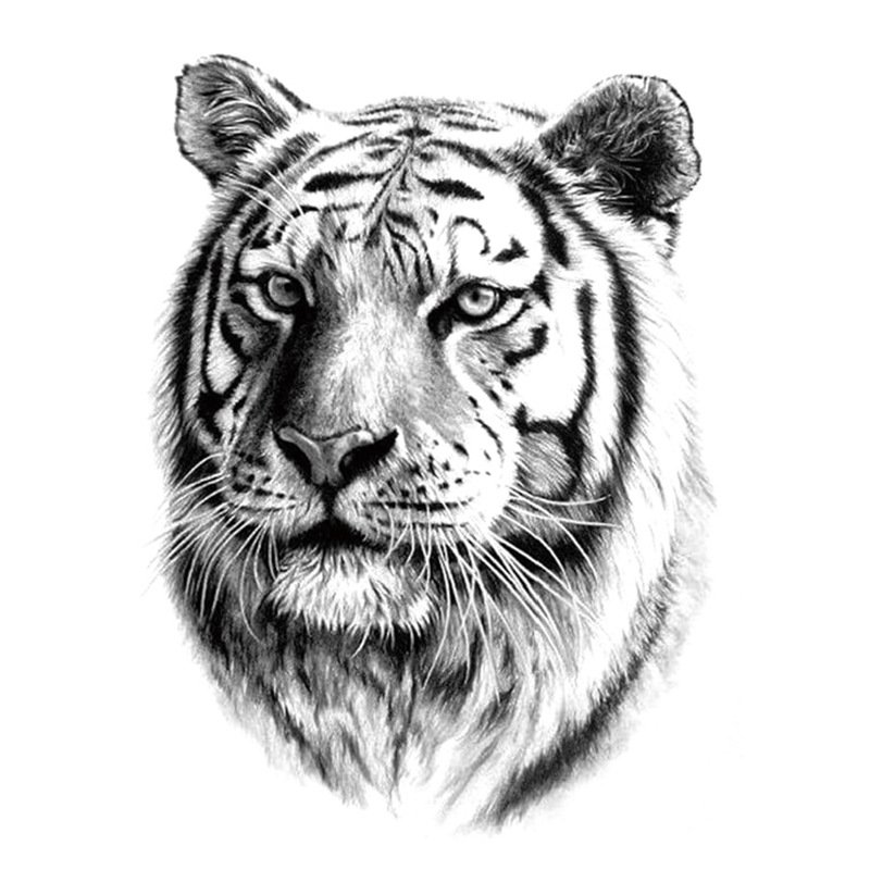 Realistic Tiger Tattoo Black and White | Tiger-Universe