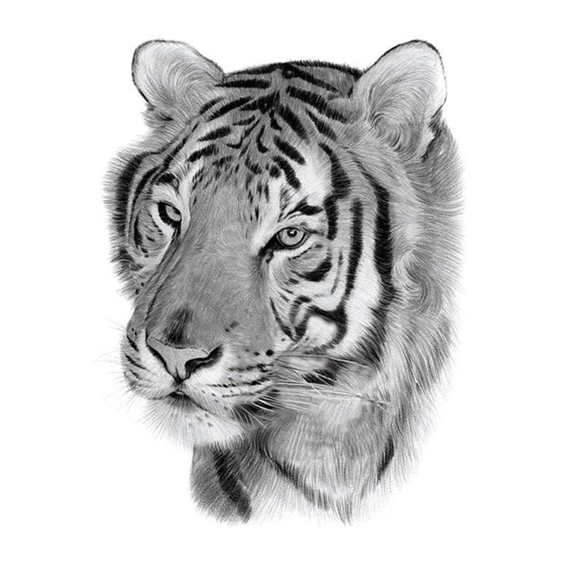 Best Tiger Tattoo | Animal tattoos | Tiger Chest Tattoos | Tiger Face tattoo  idea | tattoos for men - YouTube